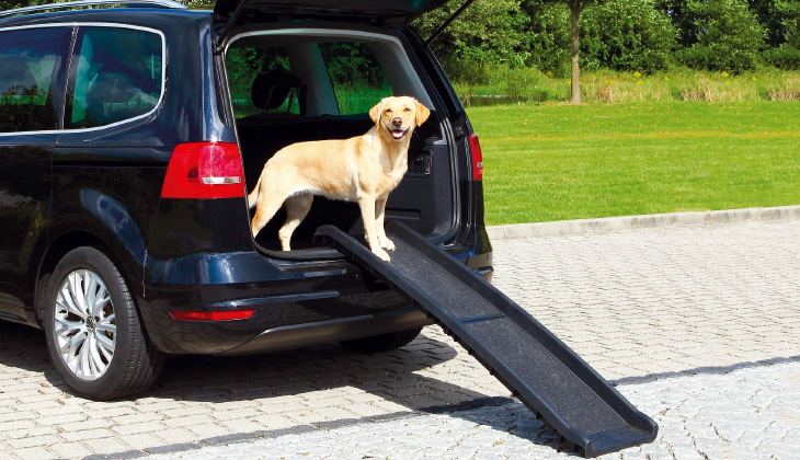 Caravanning-Dog-Accessories7.jpg